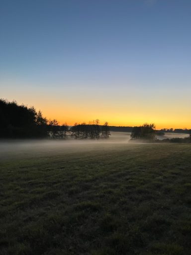 Aufsteigender Nebel im Herbst Morgendämmerung über einem nebligen Feld mit Bäumen am Horizont.